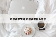 切尔西中文网 切尔西中什么意思