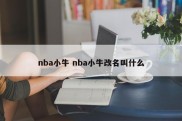nba小牛 nba小牛改名叫什么