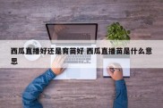 西瓜直播好还是育苗好 西瓜直播苗是什么意思