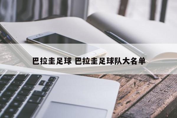 巴拉圭足球 巴拉圭足球队大名单